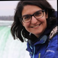 Setareh Manesh's photo